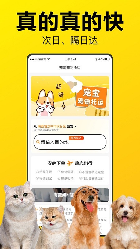 宠宝宠物托运截图2