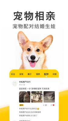 有只宠物截图1
