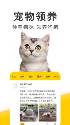 有只宠物截图3