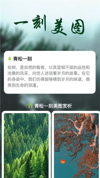 青松一刻截图3