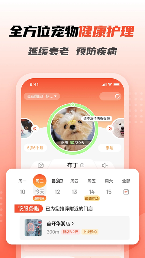 宠物家截图2