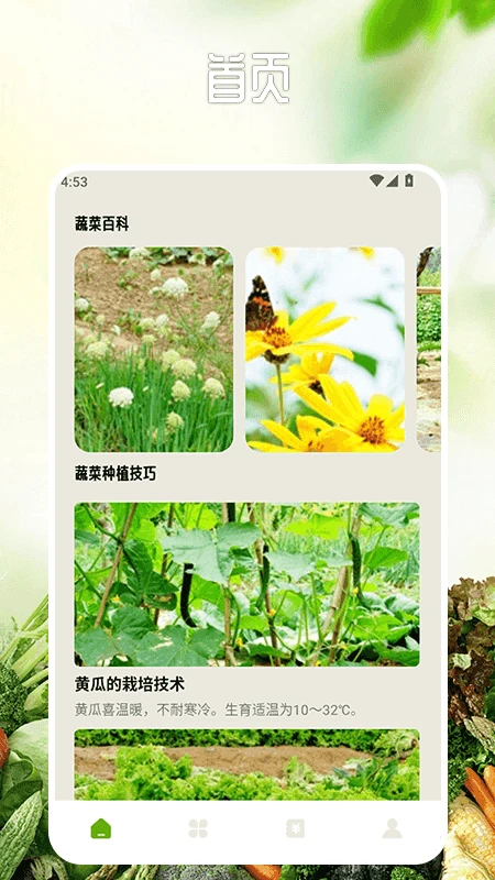 卖菜致富记截图1