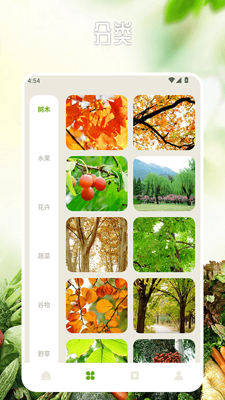 卖菜致富记截图2