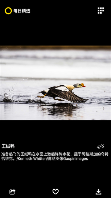 每日精选截图3