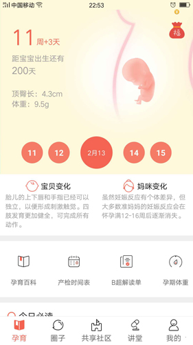 摇篮孕育截图1
