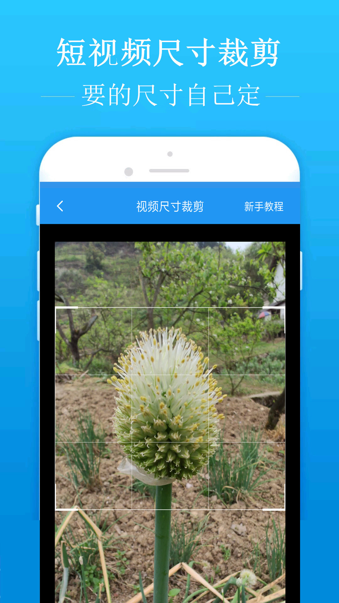 去水印吧截图3