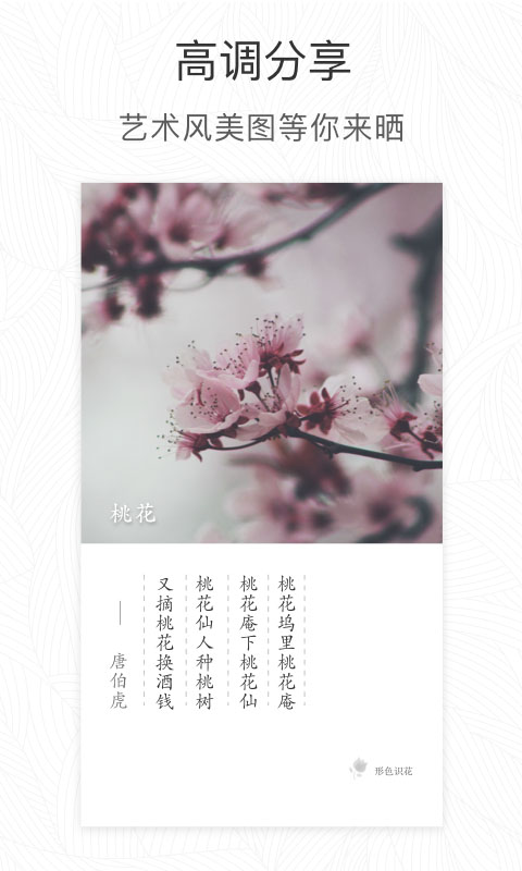 形色识植物截图1