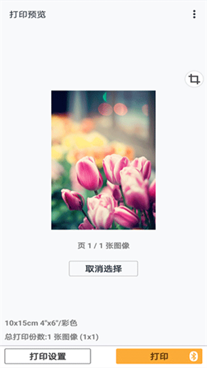 佳能打印截图1