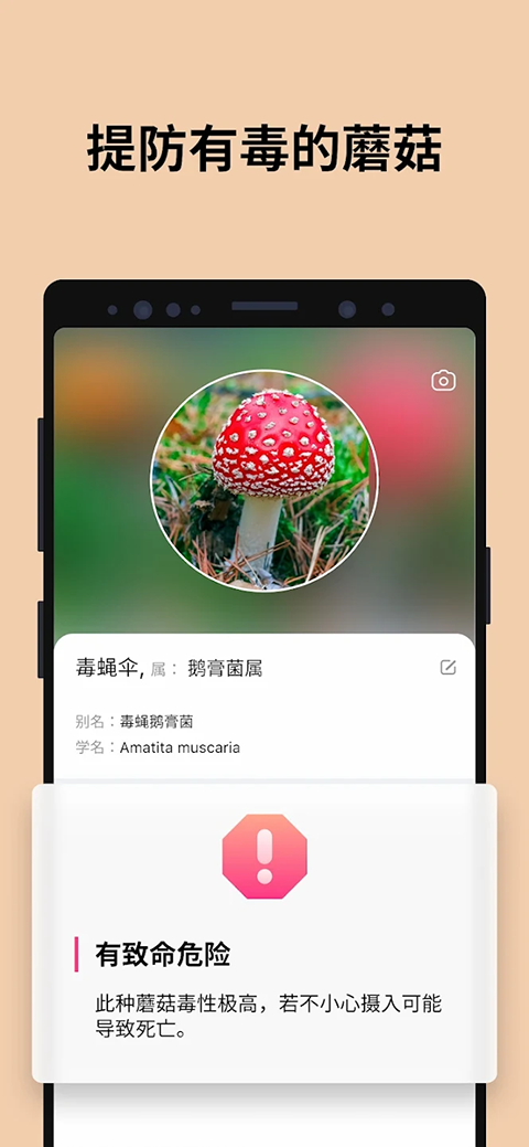 蘑菇识别扫一扫截图2