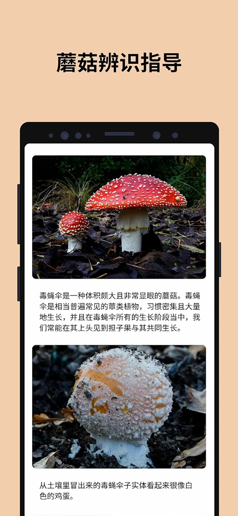 蘑菇识别扫一扫截图4