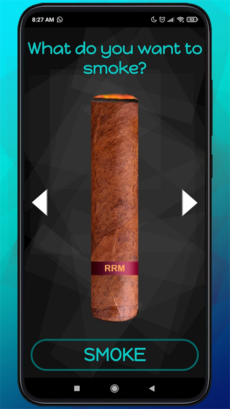 吸烟模拟器截图4