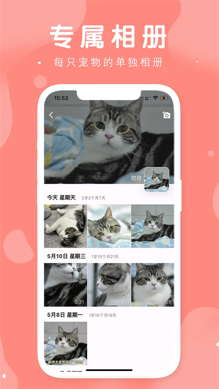 有宠截图3