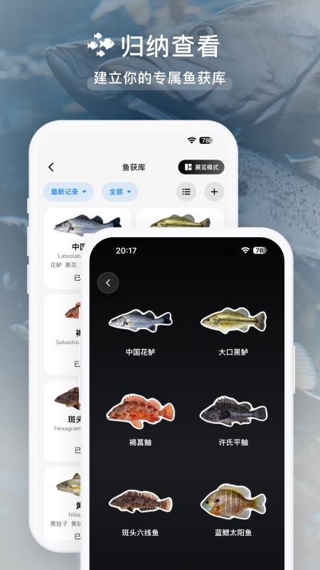 渔伴截图1