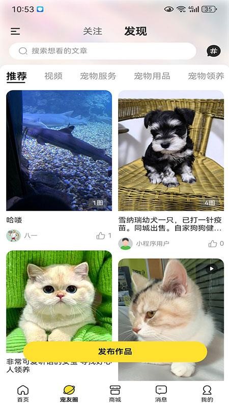 执宠乐截图3
