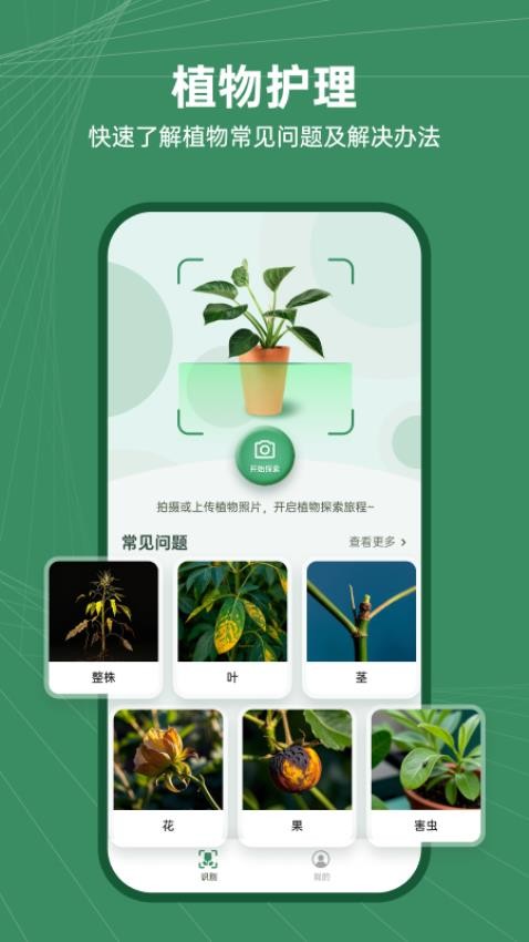 花草志截图1