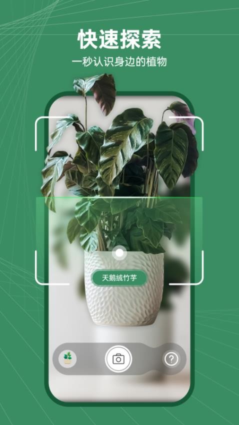 花草志截图2