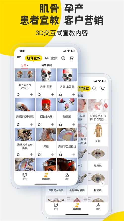 3DBody解剖截图2