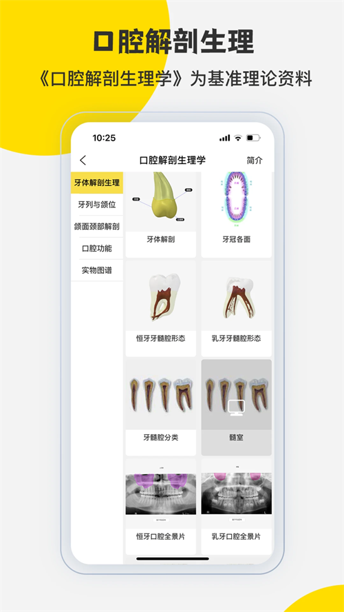 3DBody解剖截图4