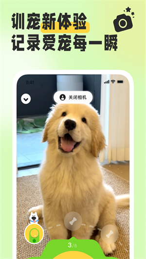 尾巴纪元截图1