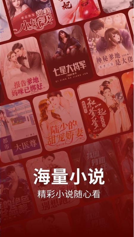 皮皮小说截图2