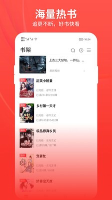 皮皮小说截图3