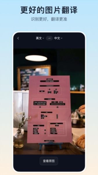 翻译鸥免费版截图1