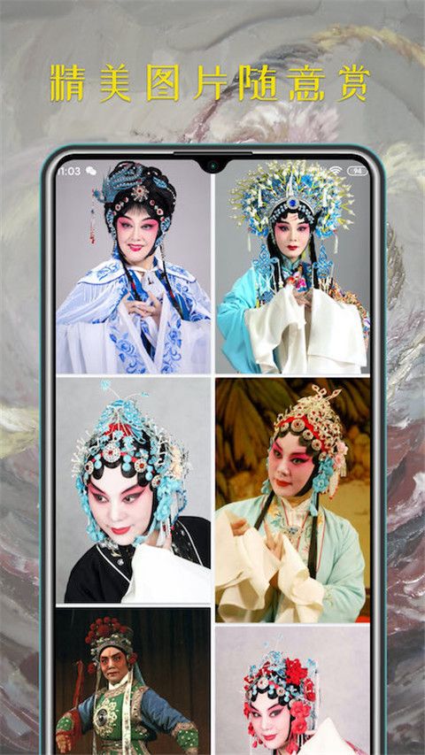 豫剧迷截图1