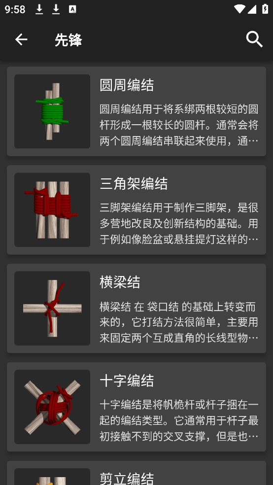 3D绳结截图2