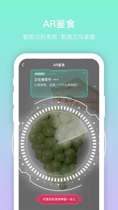 呼啦鸽截图3