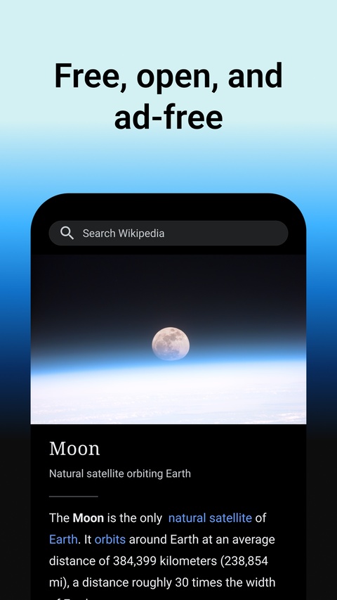 维基百科截图1