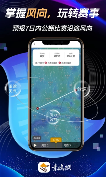 青鸽网截图1