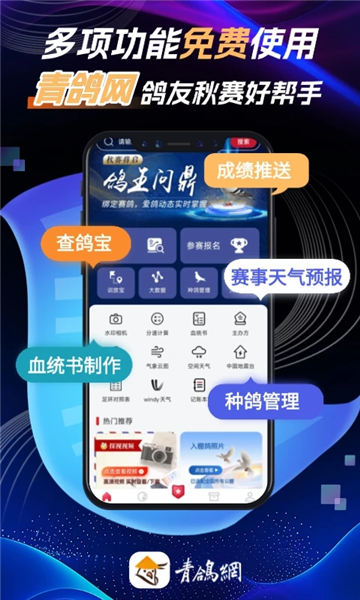 青鸽网截图3