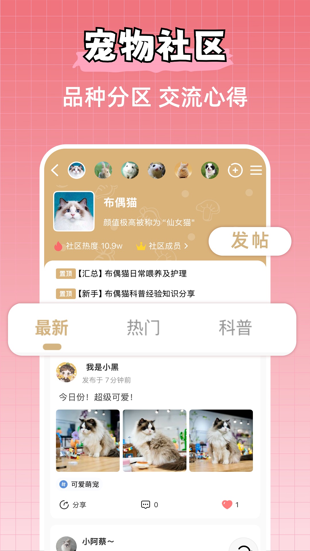 宠物王国截图2
