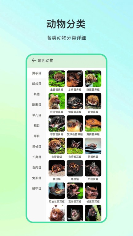动物百科截图3