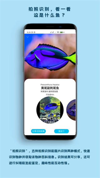 看鱼免费版截图3