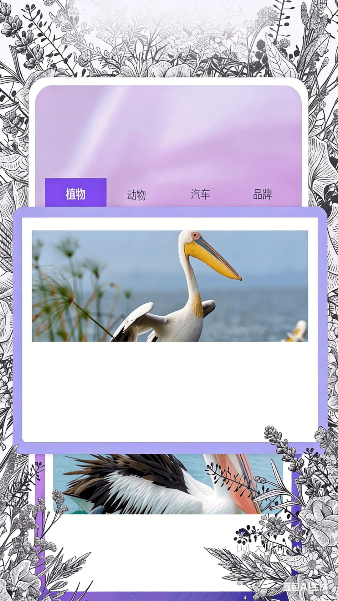 识物相机截图1