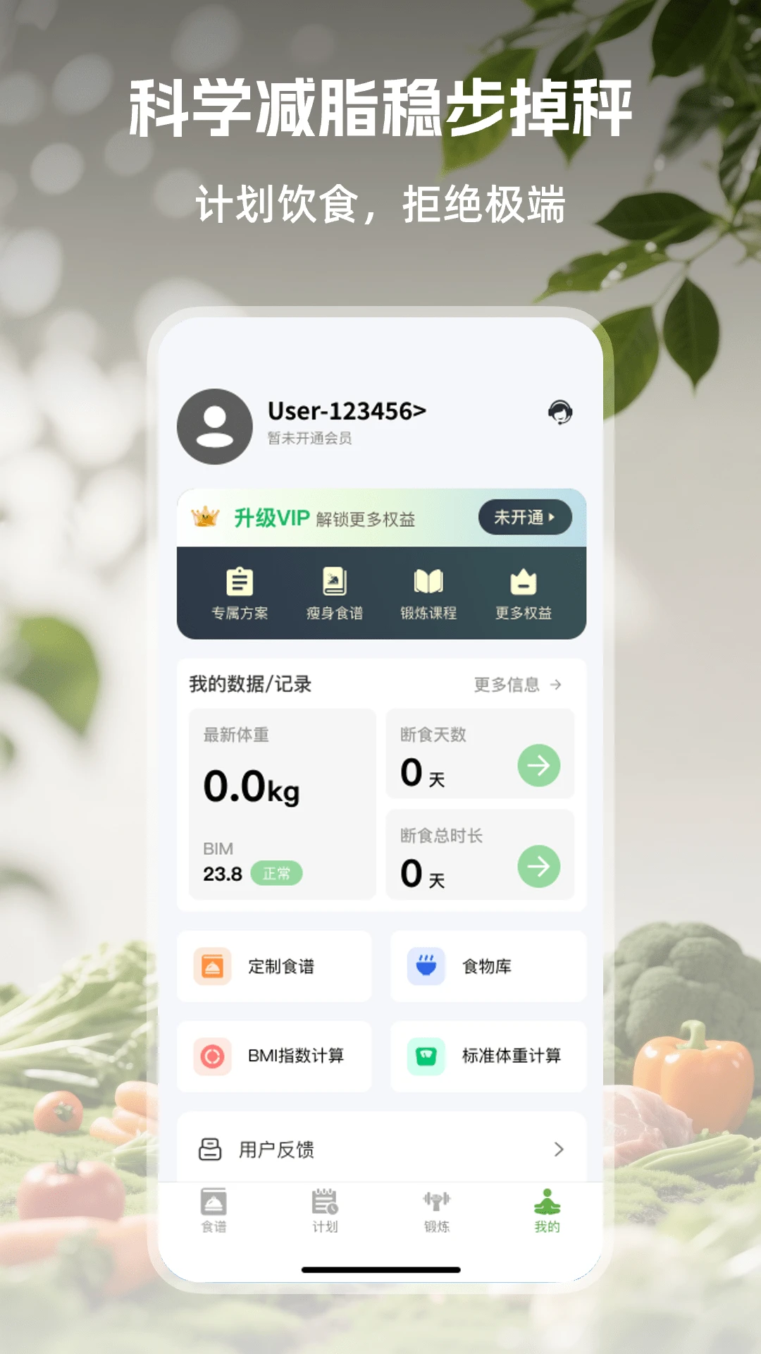 绿叶轻断食截图3