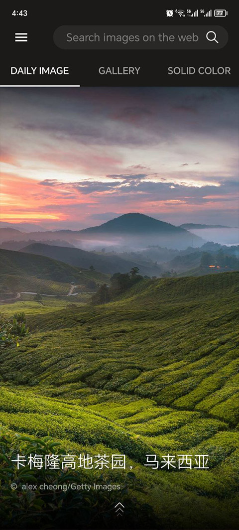 Wallpapers截图2