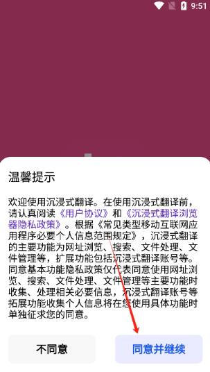 沉浸式翻译截图2