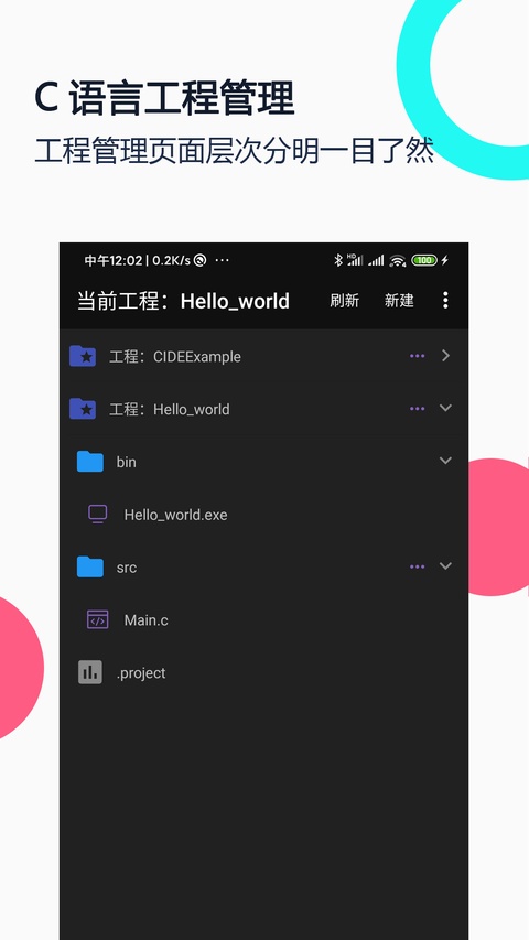 C语言编译器截图2