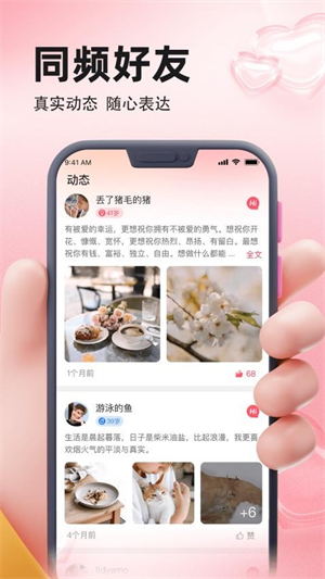 相聚截图4