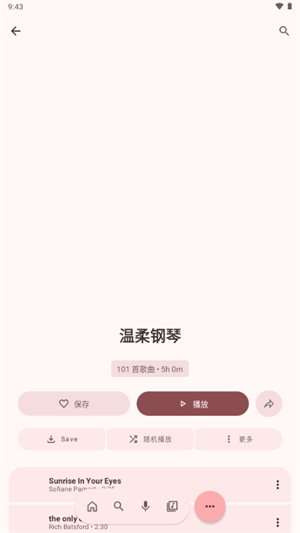 NullMusic截图1