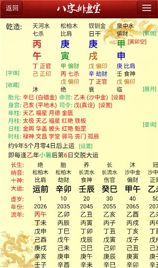 八字排盘宝截图2
