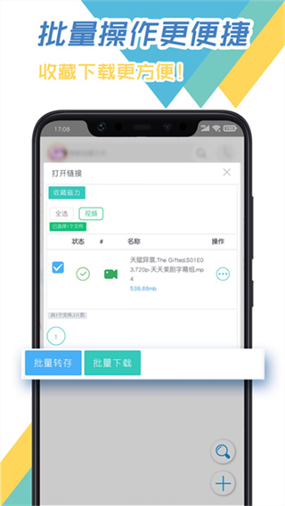 飞鸟下载器截图3