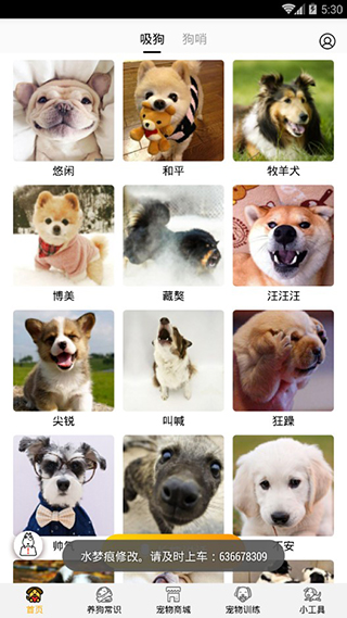 狗语翻译器截图2