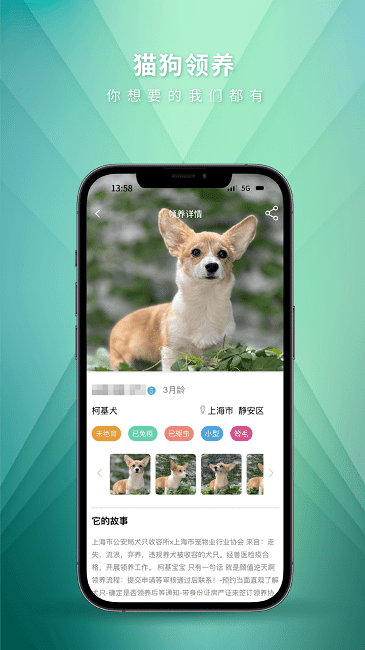 麦道截图3