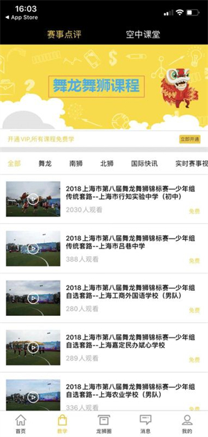 龙情狮义截图2