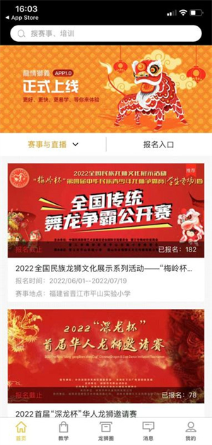 龙情狮义截图3