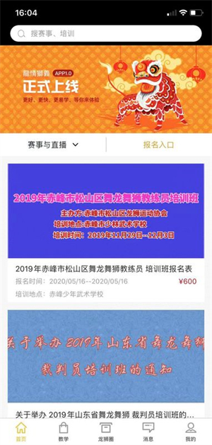 龙情狮义截图4