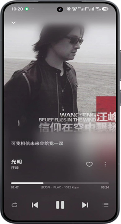 飞牛音乐截图2